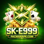 SK-E999 Game